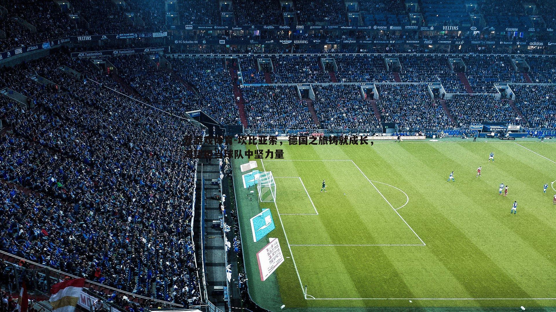 坎比亚索,德国之旅铸就成长,渴望担当球队中坚力量